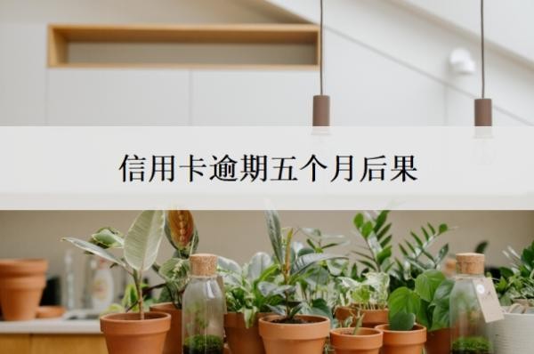 信用卡逾期五个月后果,逾期5个月还能用吗?