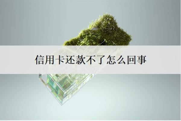 信用卡还款不了怎么回事?还不上该怎么解决?