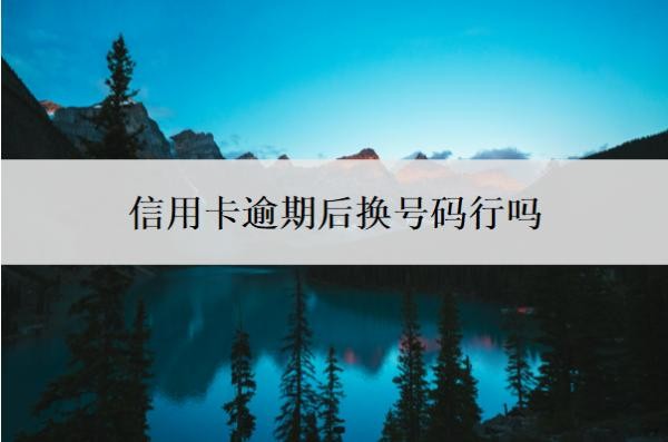 信用卡逾期后换号码行吗?还不上怎么办?
