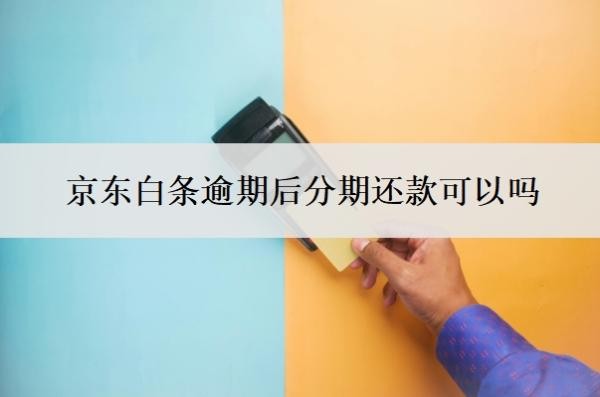 京东白条逾期后分期还款可以吗？怎么协商还款？
