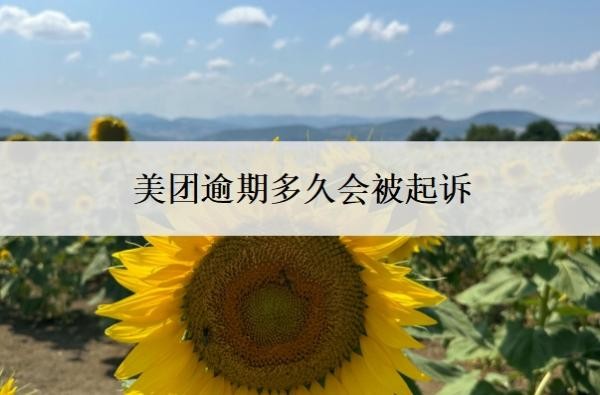 美团逾期多久会被起诉？借8000一年没还了会怎样？