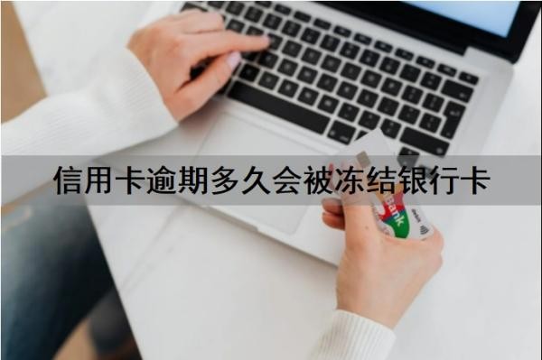信用卡逾期多久会被冻结银行卡?信用卡逾期多久会坐牢?
