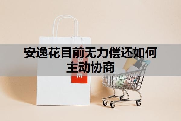 安逸花目前无力偿还如何主动协商?安逸花贷款不还会有什么后果?