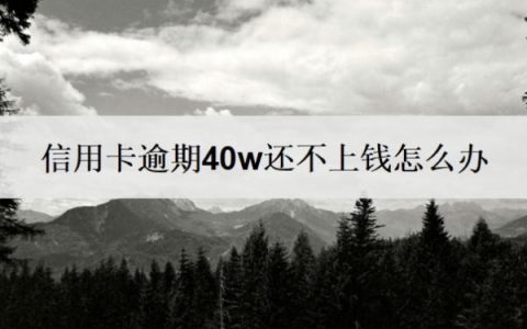 信用卡逾期40w还不上钱怎么办？征信上显示信用卡欠多少钱吗？