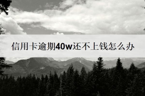 信用卡逾期40w还不上钱怎么办？征信上显示信用卡欠多少钱吗？