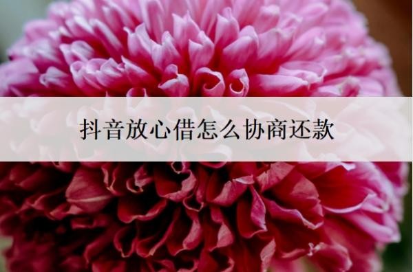 抖音放心借怎么协商还款?可以协商分36期吗?
