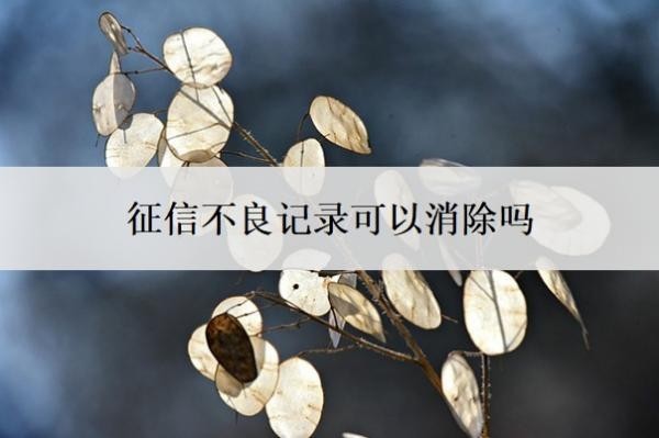 征信不良记录可以消除吗?个人征信太花但没逾期多久可以恢复?