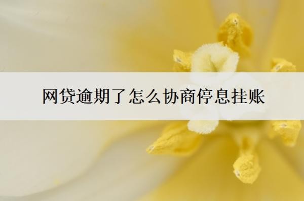 网贷逾期了怎么协商停息挂账？自己可以协商网贷延期吗？