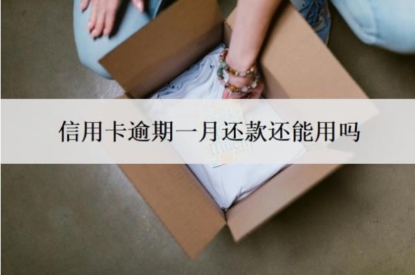 信用卡逾期一月还款还能用吗?逾期多久会上征信?