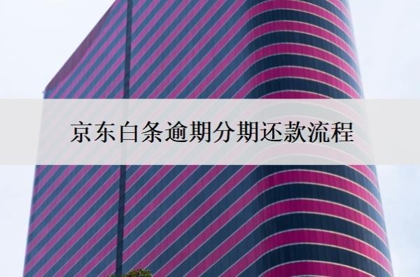 京东白条逾期分期还款流程,金条逾期多久会上门