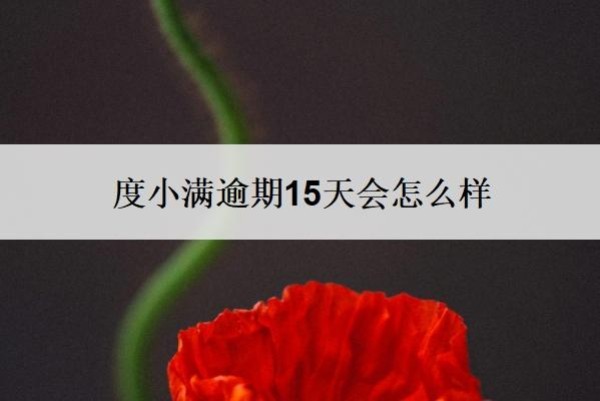 度小满逾期15天会怎么样?借4.9还了6万是合法的吗?