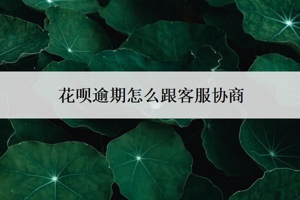 花呗逾期怎么跟客服协商?支付宝不同意协商还款怎么办?