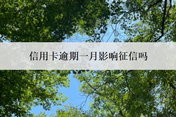 信用卡逾期一月影响征信吗?会有什么影响?