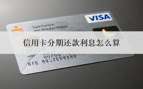 信用卡分期还款利息怎么算？一万分期12月利息多少？