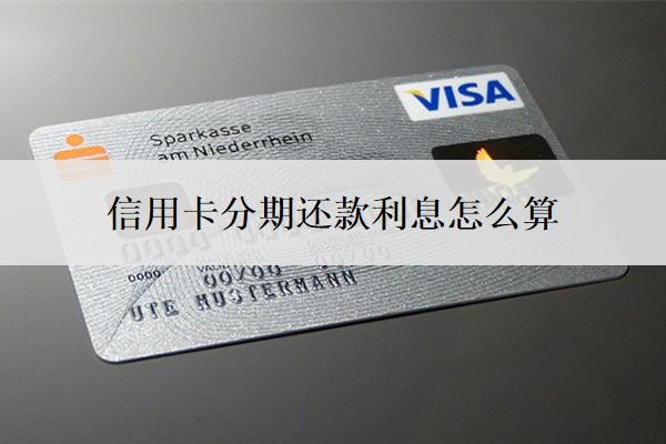 信用卡分期还款利息怎么算？一万分期12月利息多少？