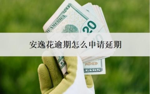 安逸花逾期怎么申请延期？会上门催收吗？