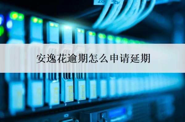 安逸花逾期怎么申请延期?会上门催收吗?