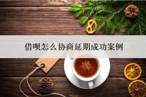 借呗怎么协商延期成功案例,延期成功后在哪里看?