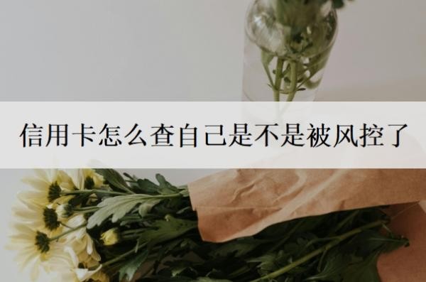 信用卡怎么查自己是不是被风控了?被风控多久解除?