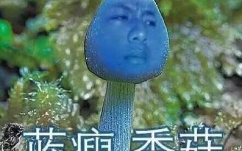 申请不到大额信用卡？蓝瘦香菇！