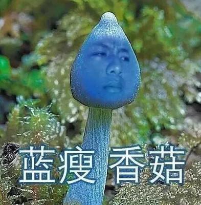 申请不到大额信用卡?蓝瘦香菇!