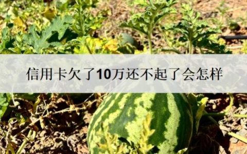 信用卡欠了10万还不起了会怎样？怎么自救？