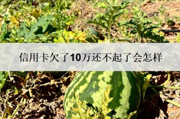 信用卡欠了10万还不起了会怎样?怎么自救?