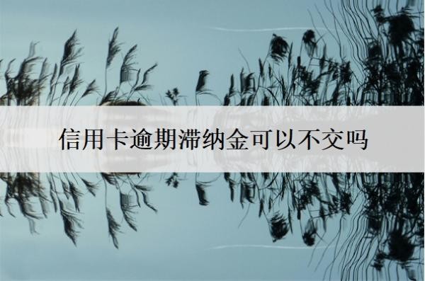 信用卡逾期滞纳金可以不交吗?滞纳金怎么减免?