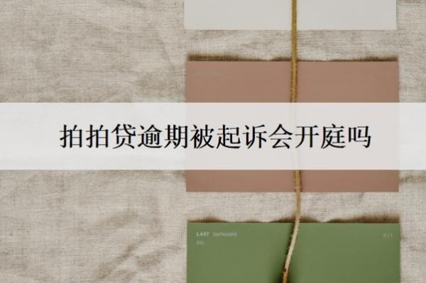 拍拍贷逾期被起诉会开庭吗?不还会有什么后果?