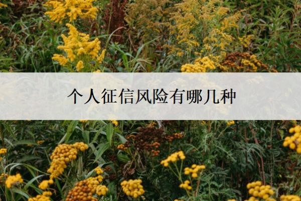 个人征信风险有哪几种?有风险怎么消除?