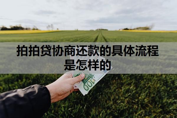 拍拍贷协商还款的具体流程是怎样的?拍拍贷不肯协商怎么办?