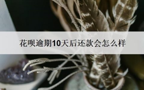 花呗逾期10天后还款会怎么样？怎么协商还本金？