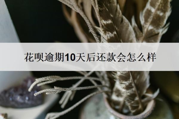 花呗逾期10天后还款会怎么样？怎么协商还本金？