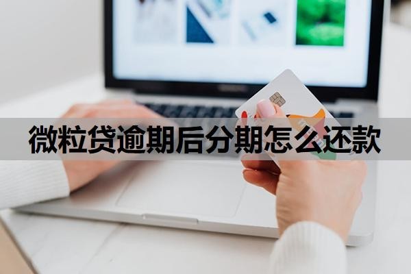 微粒贷逾期后分期怎么还款?可以申请延期还款吗?