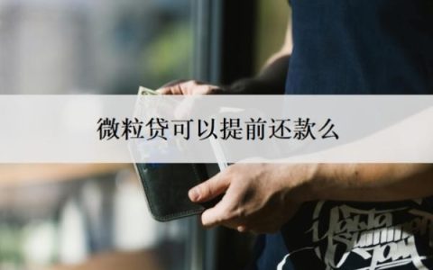微粒贷可以提前还款么？可以申请延期还款吗？