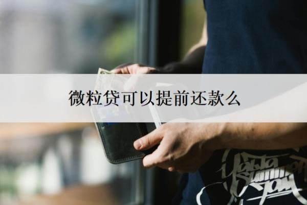 微粒贷可以提前还款么?可以申请延期还款吗?