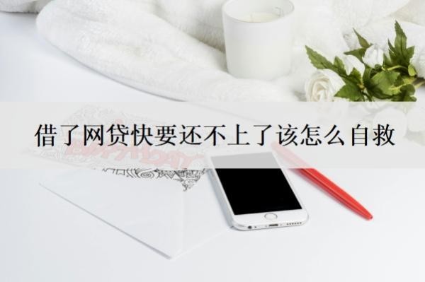 借了网贷快要还不上了该怎么自救?还不上会怎么样?