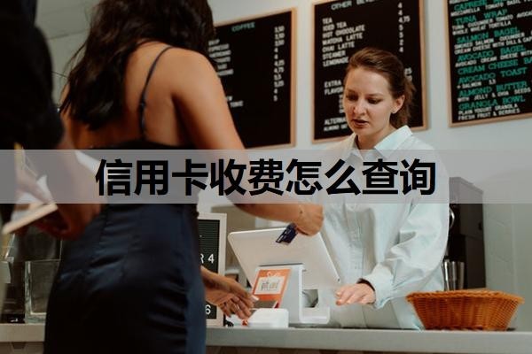 信用卡收费怎么查询?不是本人可以查账单吗?