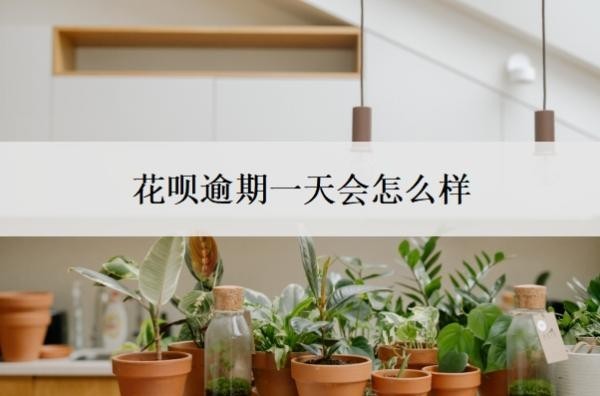 花呗逾期一天会怎么样?还款晚了1天怎么办?