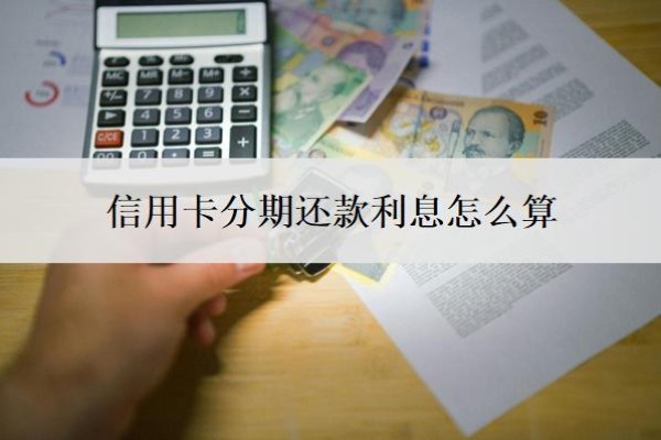 信用卡分期还款利息怎么算？一万分期12月利息多少？
