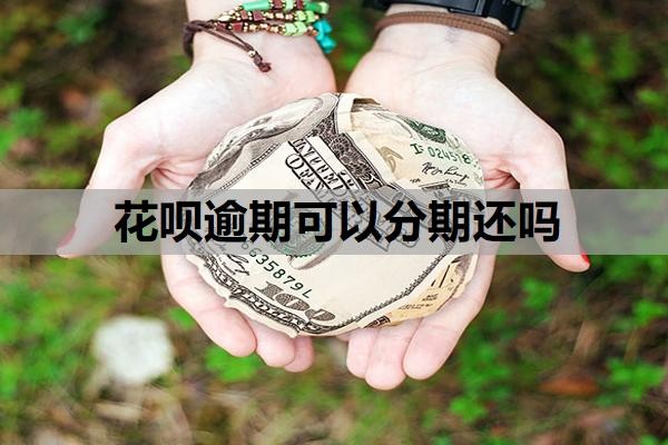 花呗逾期可以分期还吗?操作步骤与方式,花呗分期上征信吗?