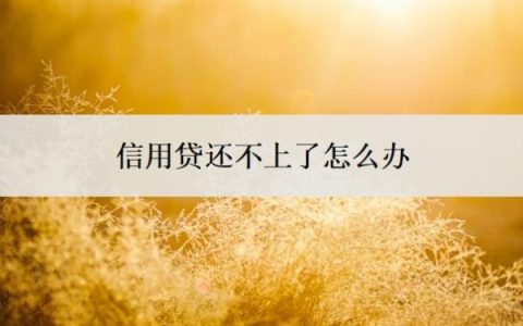 信用贷还不上了怎么办？还不起了会有什么后果？