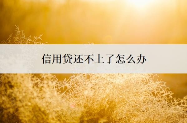信用贷还不上了怎么办?还不起了会有什么后果?