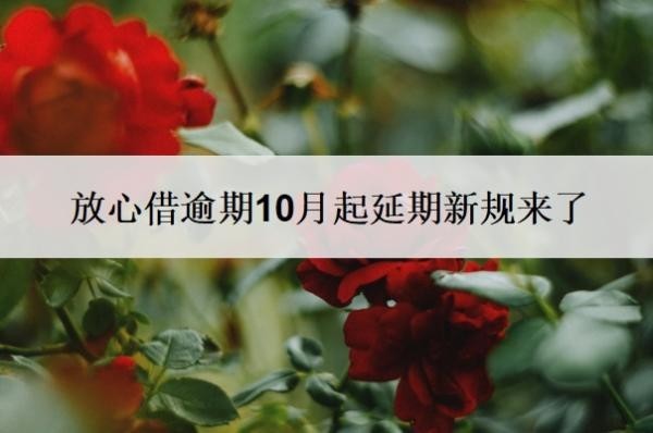 放心借逾期10月起延期新规来了!逾期10天会怎么样?