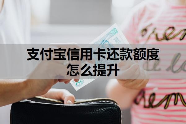 支付宝信用卡还款额度怎么提升?分期不是本人能分期的吗?