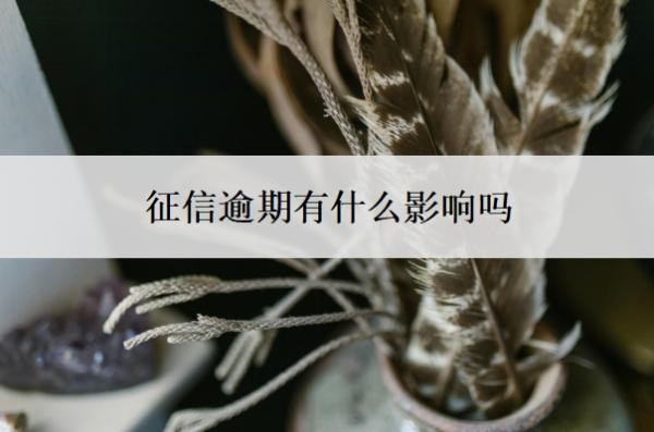 征信逾期有什么影响吗?逾期一天对征信有影响吗?