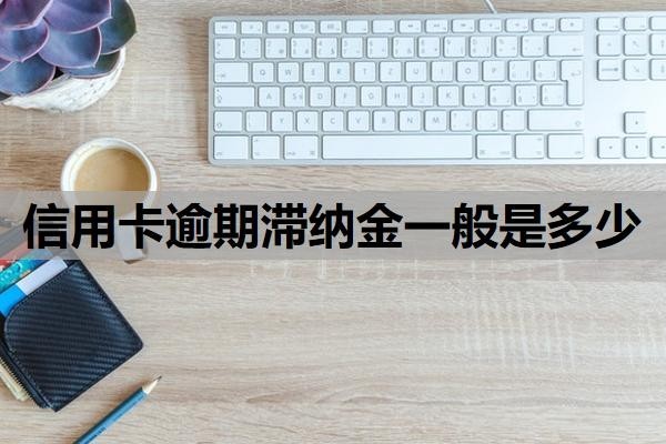 信用卡逾期滞纳金一般是多少?逾期费用可以减免吗?