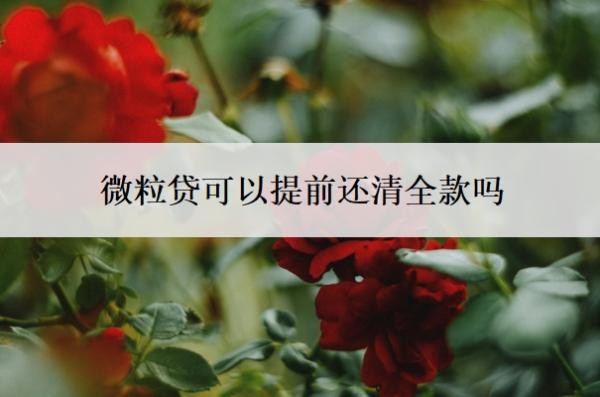 微粒贷可以提前还清全款吗?可以申请延期还款吗?