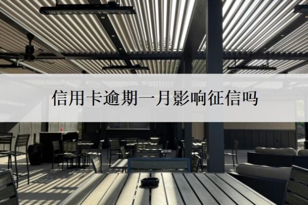信用卡逾期一月影响征信吗?会有什么影响?