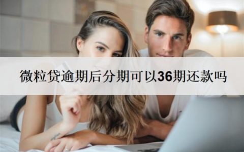 微粒贷逾期后分期可以36期还款吗？可以申请延期还款吗？